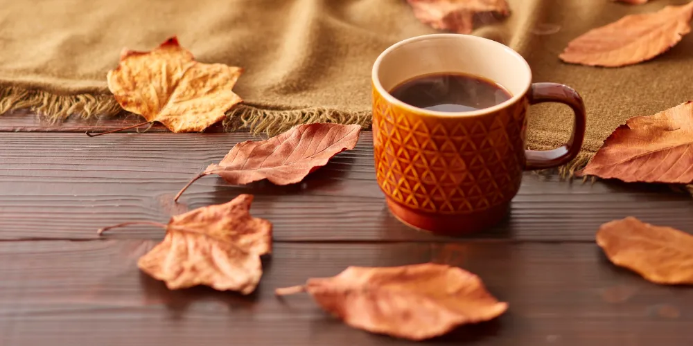 Add Cozy Warmth With Textile Touches