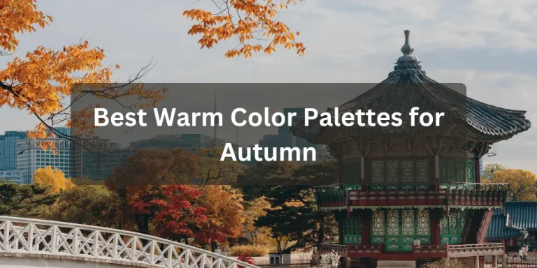 Best Warm Color Palettes for Autumn
