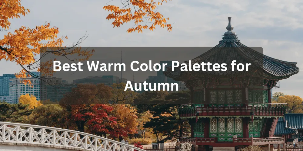 Best Warm Color Palettes for Autumn