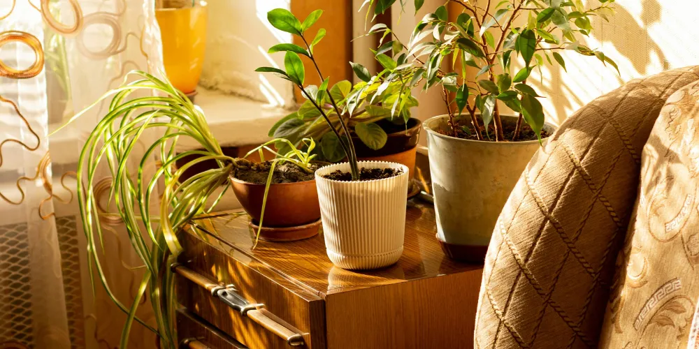 Cozy Fall Living Room Decor Ideas