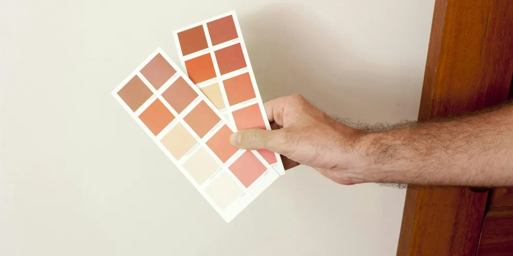 Discovering the Best Warm Color Palettes for Autumn Essentials