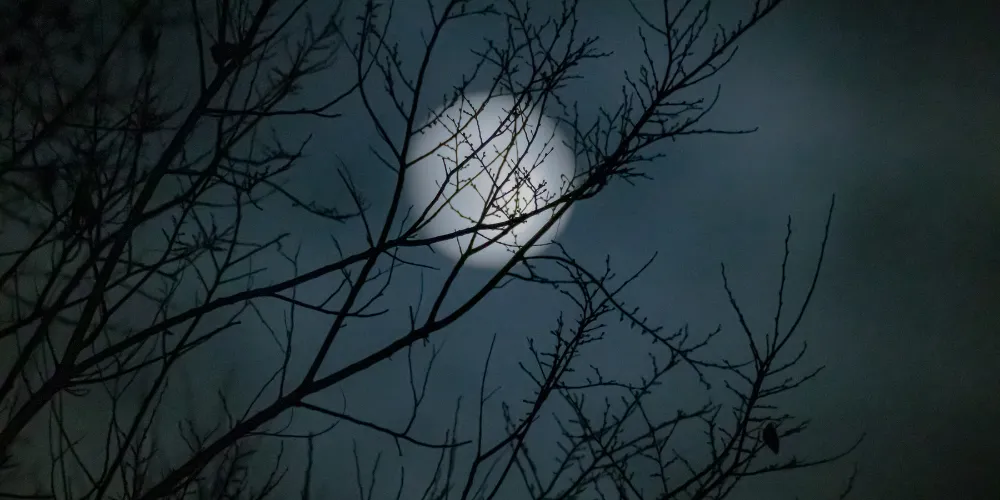 Install Smart Lighting Upgrades for Chilly Evenings