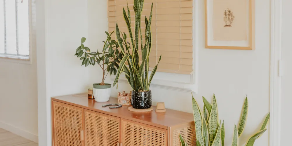 Simple Ways to Refresh Your Home